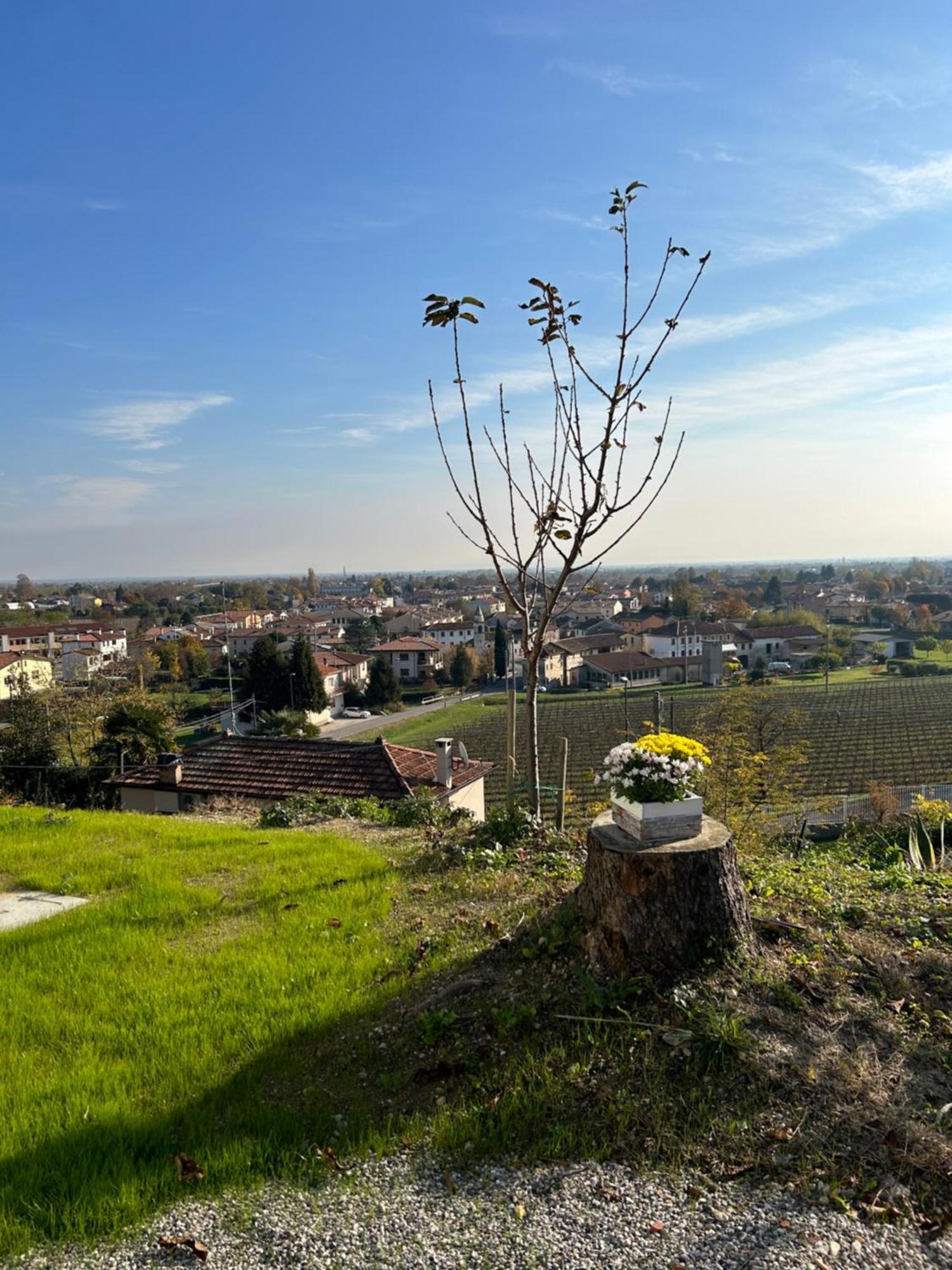 B&B San Martino San Martino  Екстер'єр фото